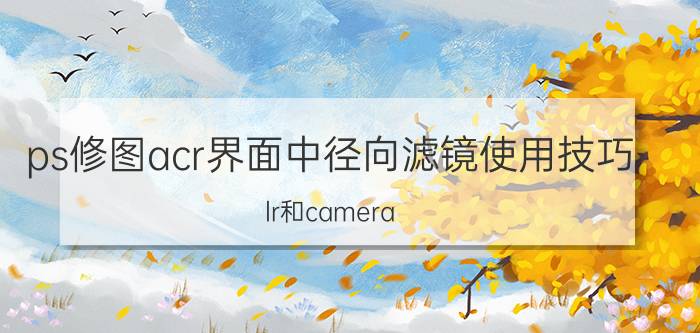 ps修图acr界面中径向滤镜使用技巧 lr和camera raw调色的区别？